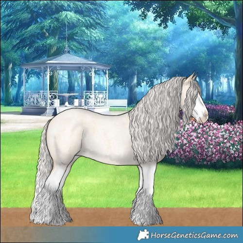 Horse Color:Silver Buckskin Roan Splash 