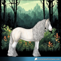 Horse Color:Silver Buckskin Roan Splash 