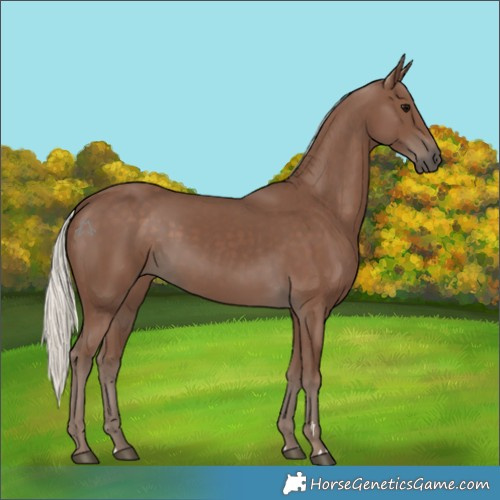 Horse Color:Silver Black 
