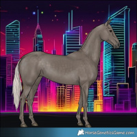 Horse Color:Silver Black