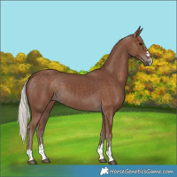 Horse Color:Silver Black 