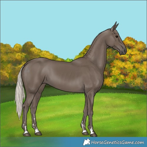 Horse Color:Silver Black 