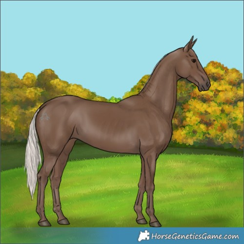 Horse Color:Silver Black 