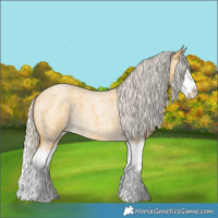 Horse Color:Silver Buckskin Roan Splash