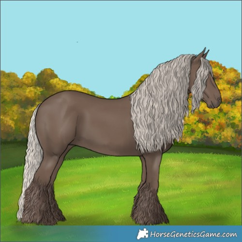 Horse Color:Silver Black