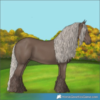 Horse Color:Silver Black 