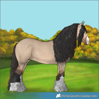 Horse Color:Bay Dun 