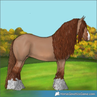 Horse Color:Red Dun 