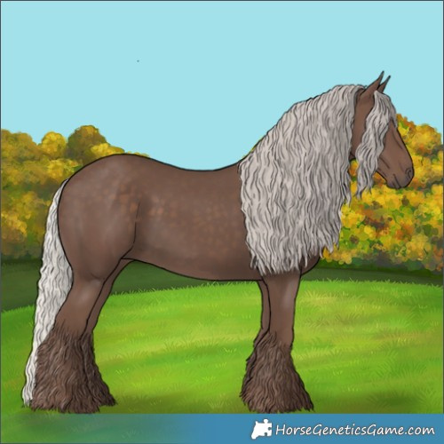 Horse Color:Silver Black 