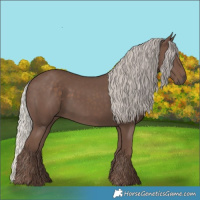 Horse Color:Silver Black 