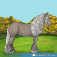 Horse Color:Silver Smoky Black 