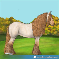 Horse Color:Red Dun Roan