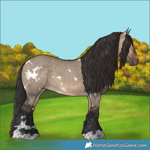 Horse Color:White Spotted Brown Dun