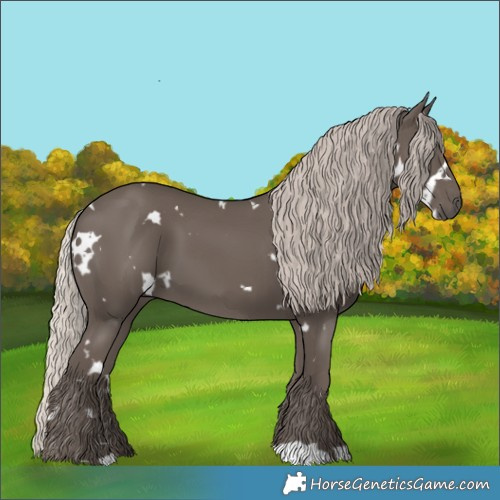 Horse Color:White Spotted Silver Black