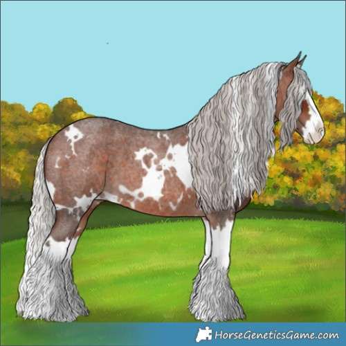 Horse Color:White Spotted Silver Brown Roan Splash 