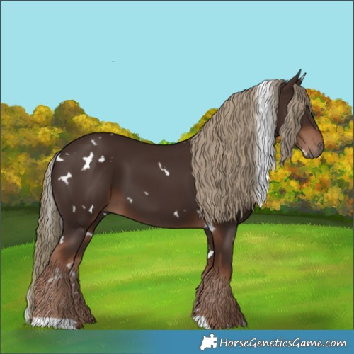 Horse Color:White Spotted Liver Chestnut 