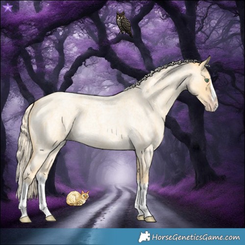 Horse Color:Gold Cream Champagne Roan Splash