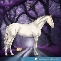 Horse Color:Gold Cream Champagne Roan Splash 