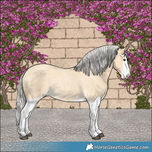 Horse Color:Silver Buckskin Roan Splash 