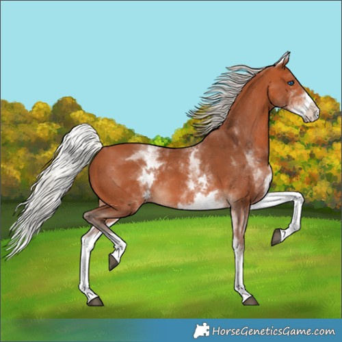 Horse Color:White Spotted Silver Bay Splash 