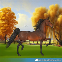 Horse Color:Brown 