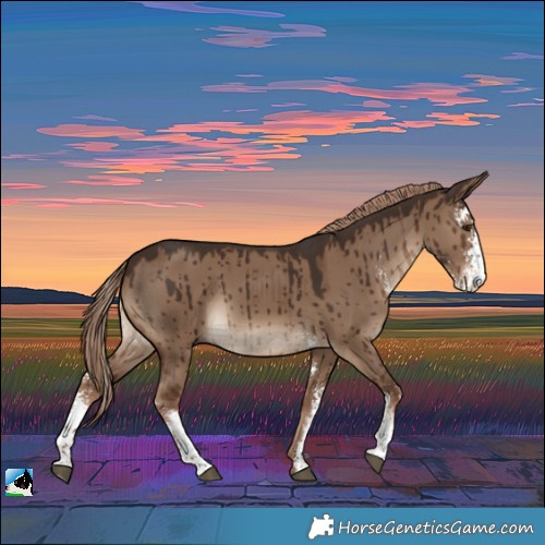 Horse Color:Liver Red Dun Sabino Brindle 