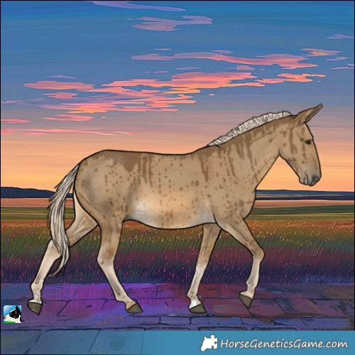 Horse Color:Chocolate Palomino Dun Brindle 