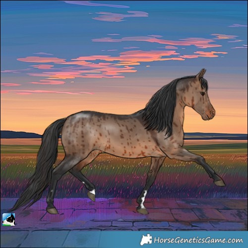 Horse Color:Brown Dun Brindle