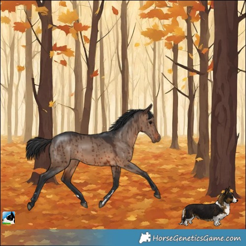 Horse Color:Brown Dun Brindle