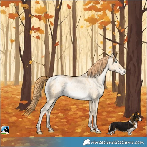 Horse Color:Smoky Grullo Pearl Varnish Brindle