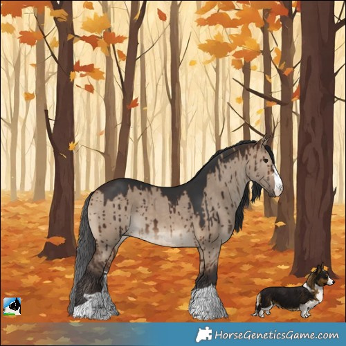 Horse Color:Brown Dun Brindle 