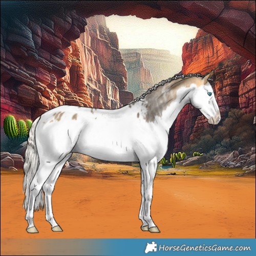 Horse Color:Silver Buckskin Ice Splash Blanket 