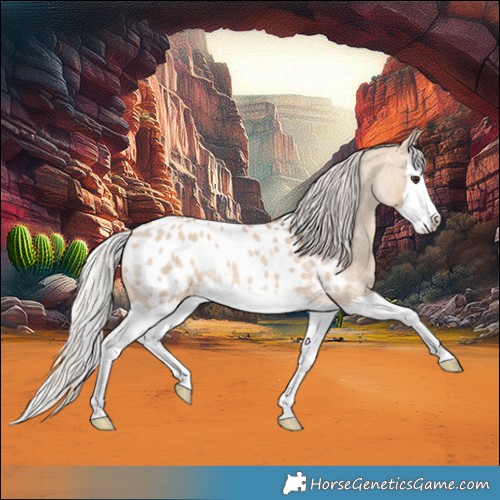 Horse Color:Silver Bay Roan Dun Splash Blanket 