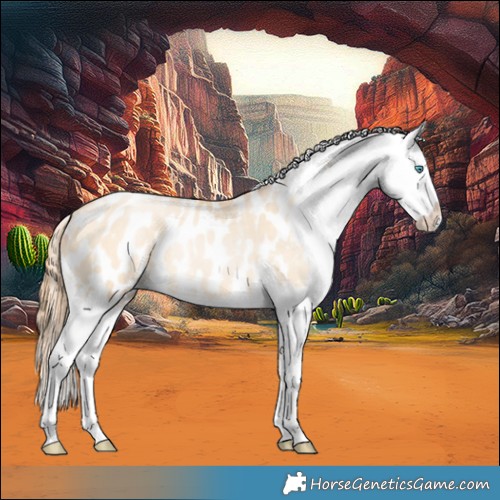 Horse Color:Buckskin Ice Pearl Dun Splash Blanket 