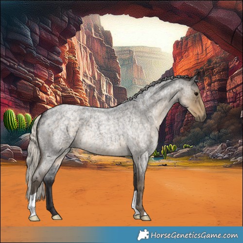 Horse Color:Silver Smoky Blue Roan 