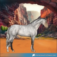 Horse Color:Silver Smoky Blue Roan 