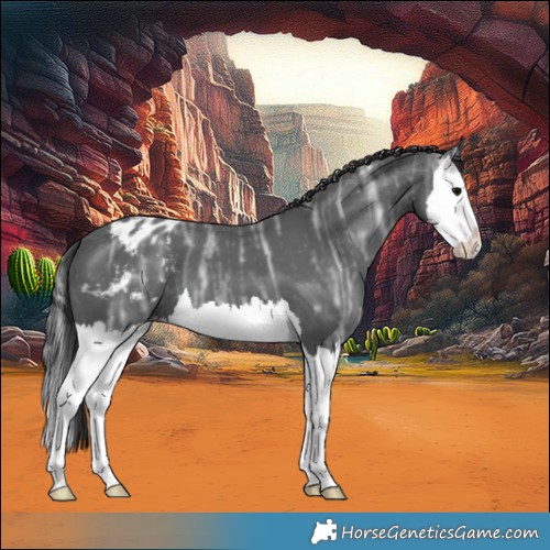 Horse Color:Black Ice Splash Blanket 