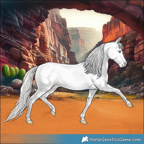 Horse Color:Silver Blue Roan Pearl Splash Leopard 