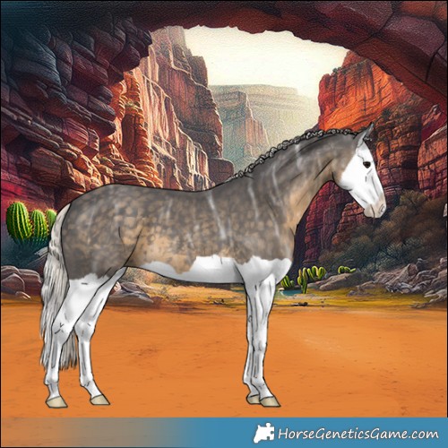 Horse Color:Silver Smoky Black Ice Splash 