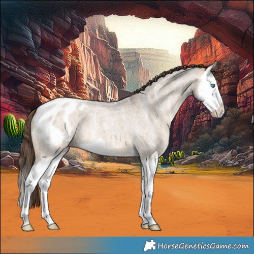 Horse Color:Brown Ice Roan Dun Splash Blanket 