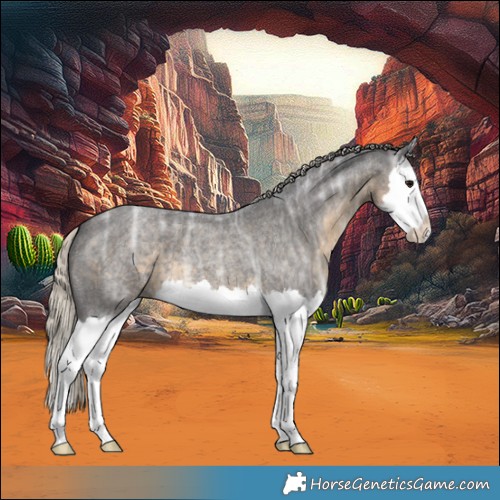 Horse Color:Silver Smoky Blue Ice Roan Splash 