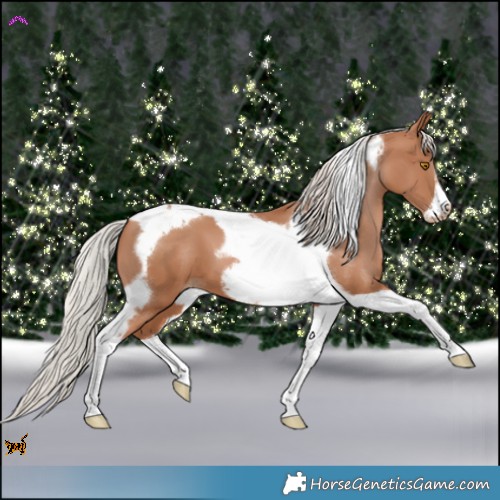 Horse Color:Silver Black Pearl Tobiano Frame 