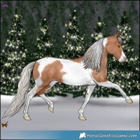 Horse Color:Silver Black Pearl Tobiano Frame 