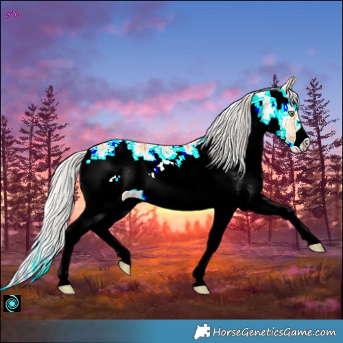 Horse Color:Plaid  White Spotted Silver Amber Champagne Dun Splash Frame 