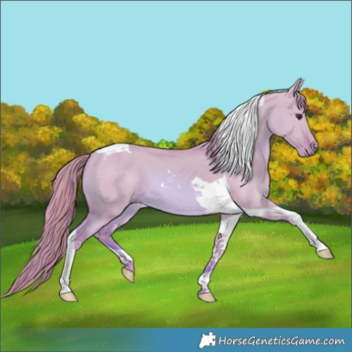Horse Color:Watercolor Red Dun Tobiano 