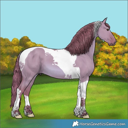 Horse Color:Watercolor Red Dun Tobiano 