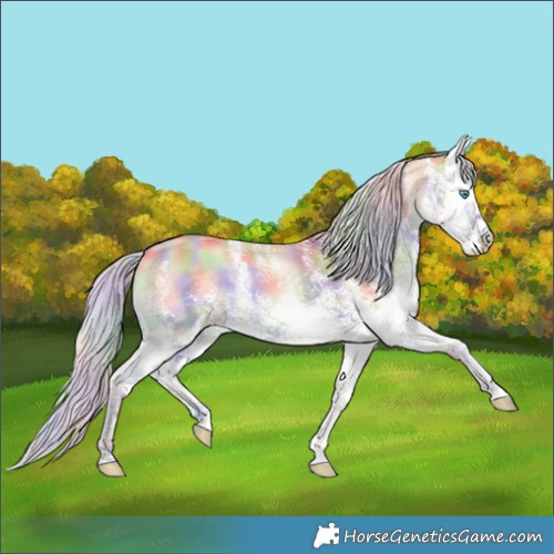 Horse Color:Nacre White Spotted Silver Classic Champagne Onyx Splash 