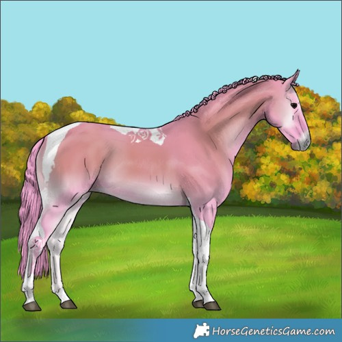 Horse Color:Watercolor Grullo Onyx Tobiano 
