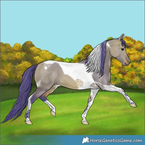 Horse Color:Watercolor Bay Dun Tobiano 