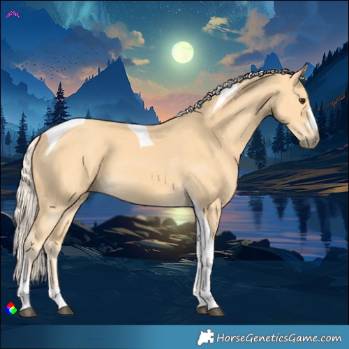 Horse Color:Palomino Tobiano